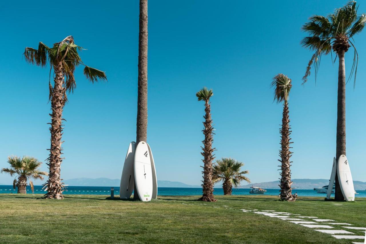 Radisson Collection Hotel, Bodrum Akyarlar Luaran gambar Palm trees in the city